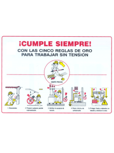 Señal Cinco reglas de oro - PVC - NMZ (Normaluz)