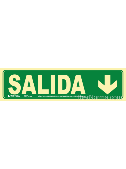 Señal Salida abajo- PVC - NMZ (Normaluz)